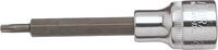   ELORA Schraubendreher-Einsatz 1/2' lang, TORX®, ELORA-3245-TXL 25  21,84 EUR14,85 EUR inkl. MwSt., zzgl. 7,90 EUR Versand