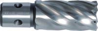 PROJAHN - SHOP PROJAHN Annular Cutter HSS-Co 8 % 12,0 mm cutting depth 35,0 mm, QuickIN -