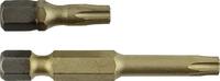   PROJAHN - SHOP PROJAHN 1/4  STAR Bit L50mm TX10 ZrN 10er Pack 
